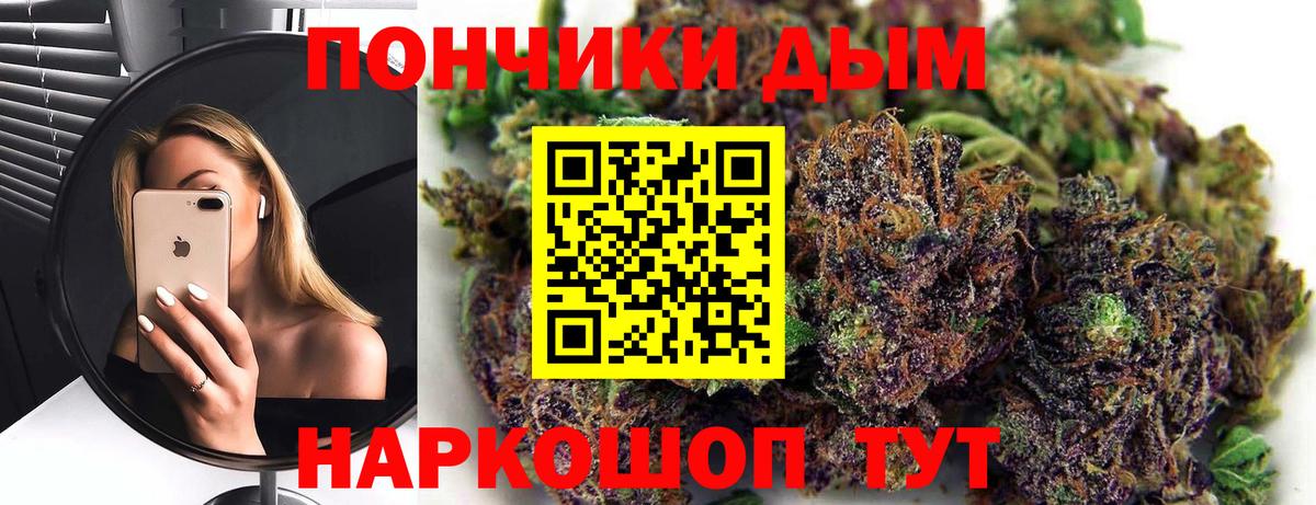 Бошки Шишки ГИДРОПОН  Бошки Шишки SATIVA & INDICA  Егорьевск  Вход с VPN 